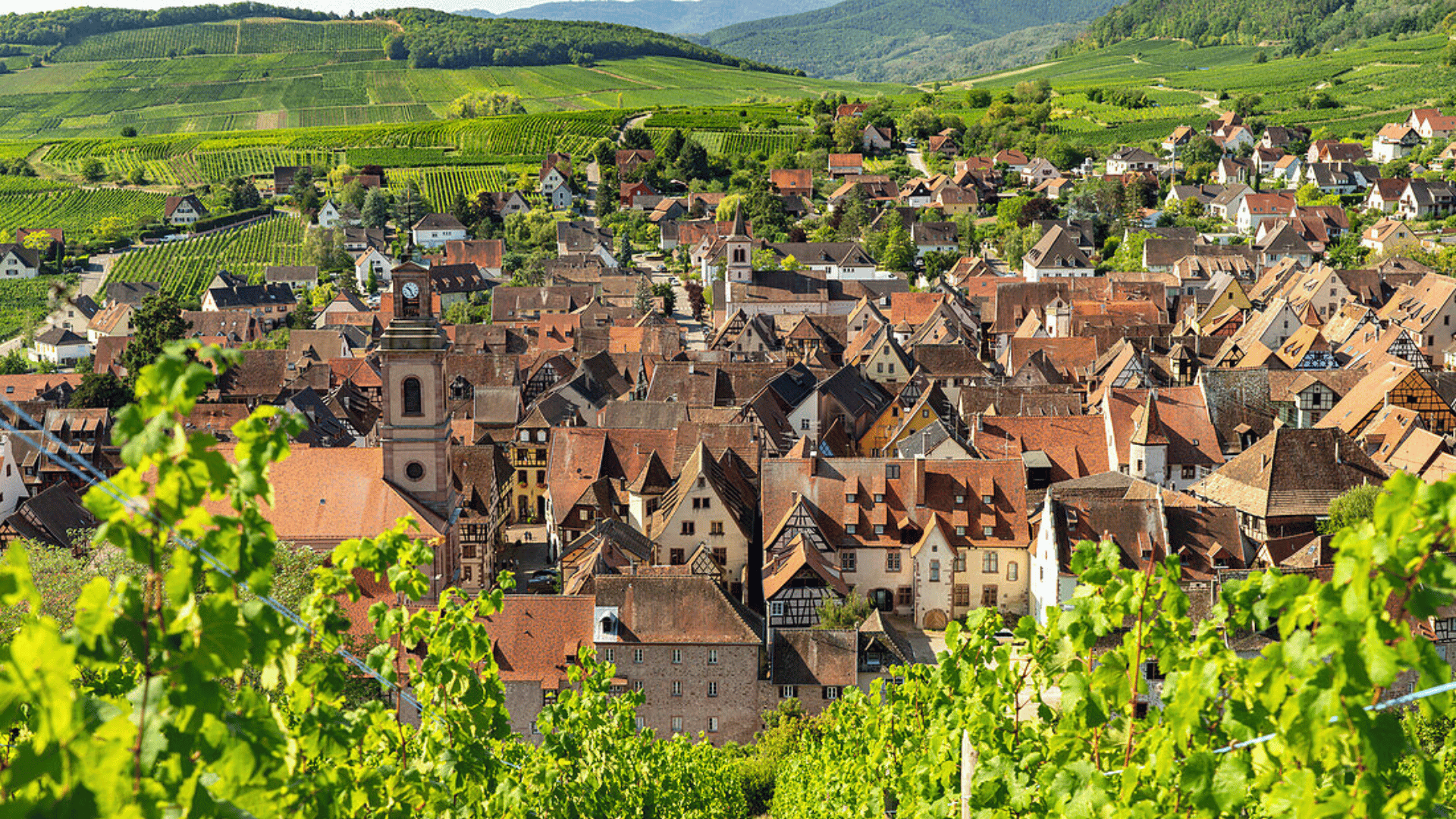 Riquewihr