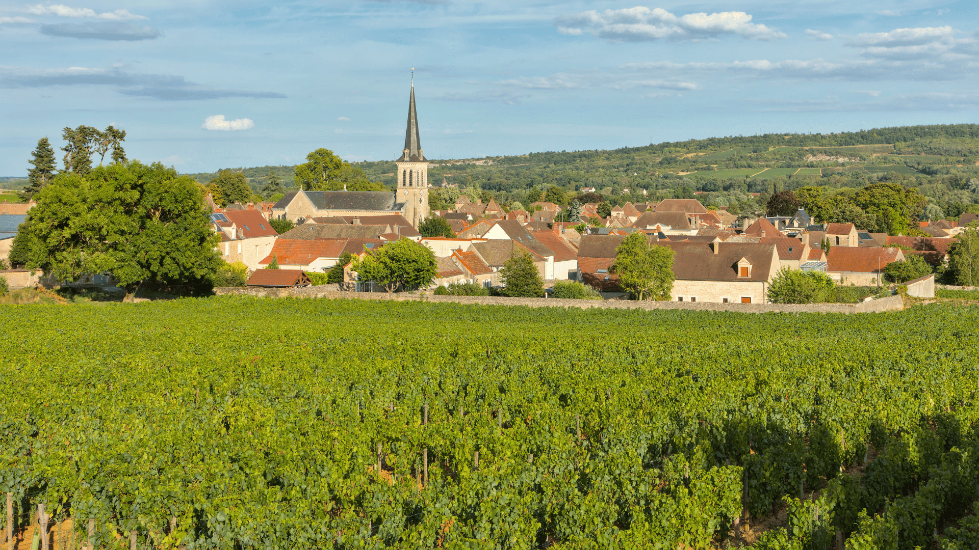 Santenay