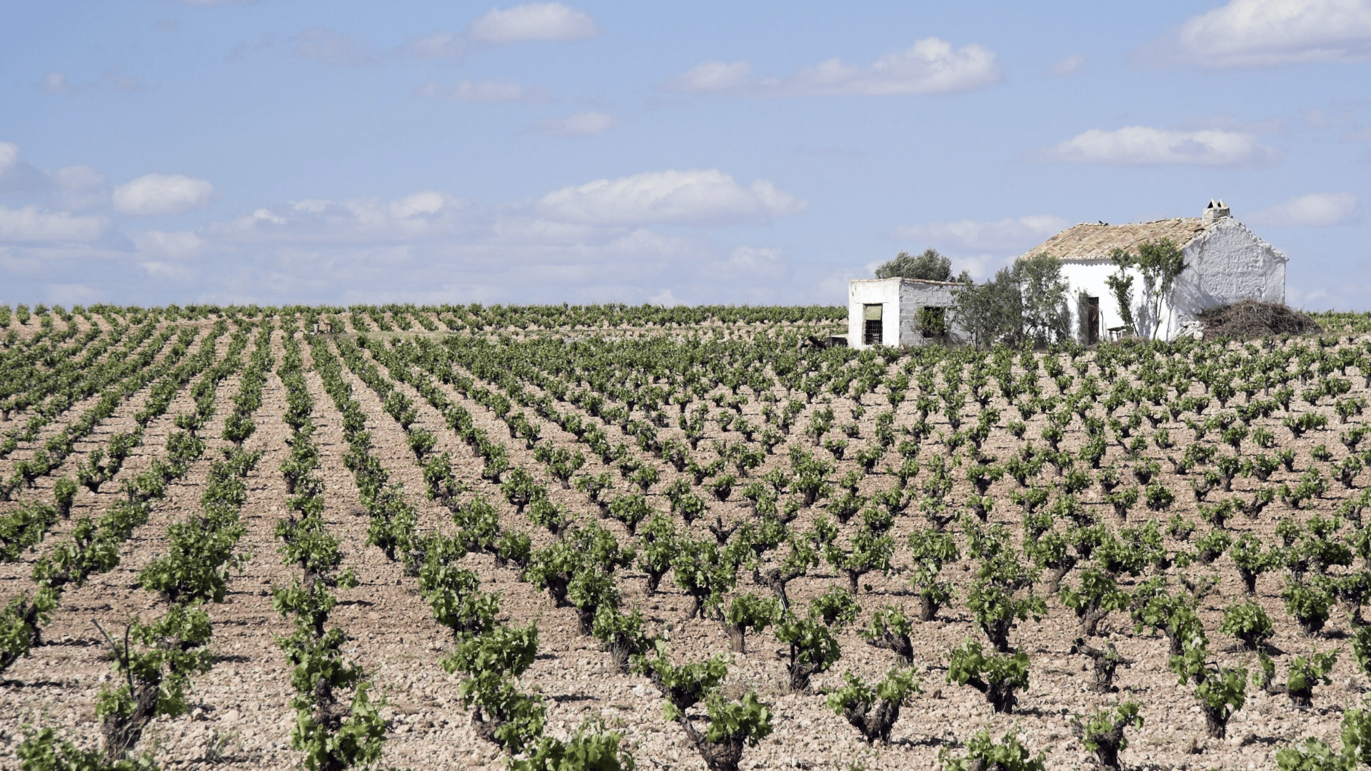 Valdepeñas