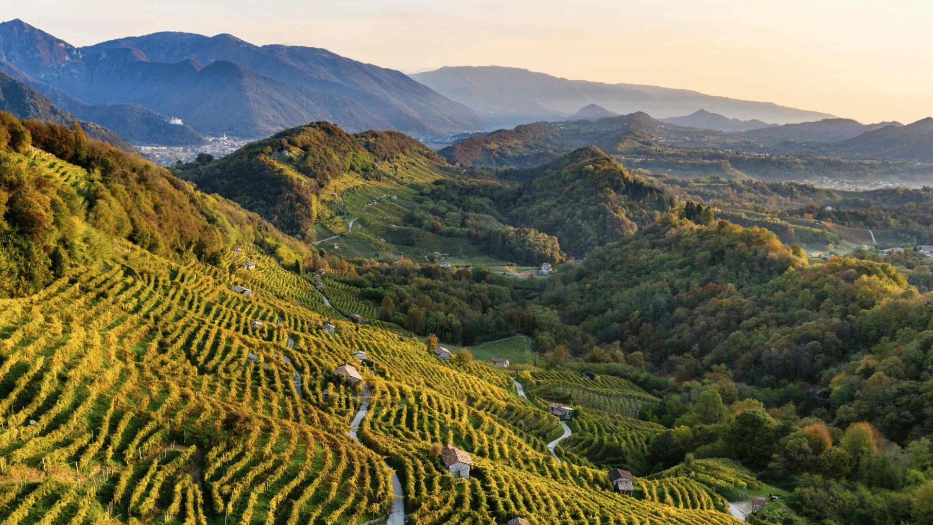 Valdobbiadene