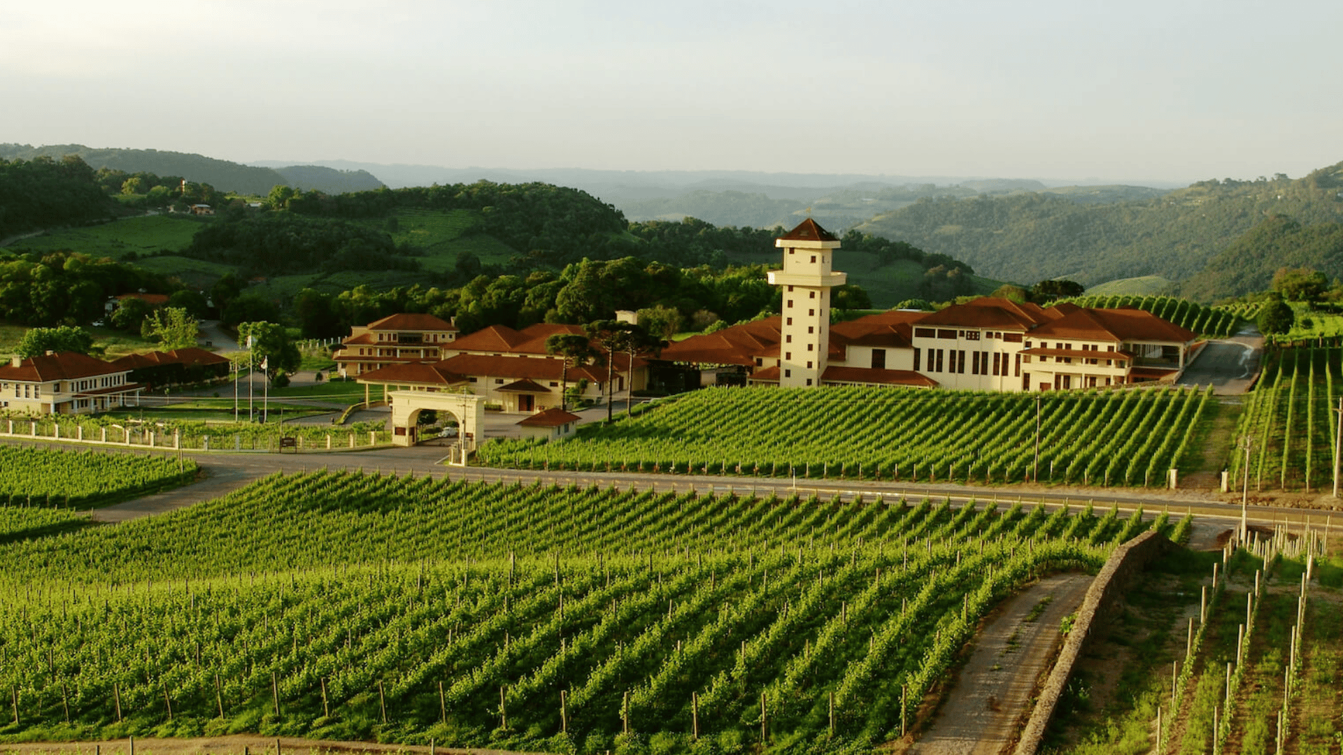 Vale dos Vinhedos