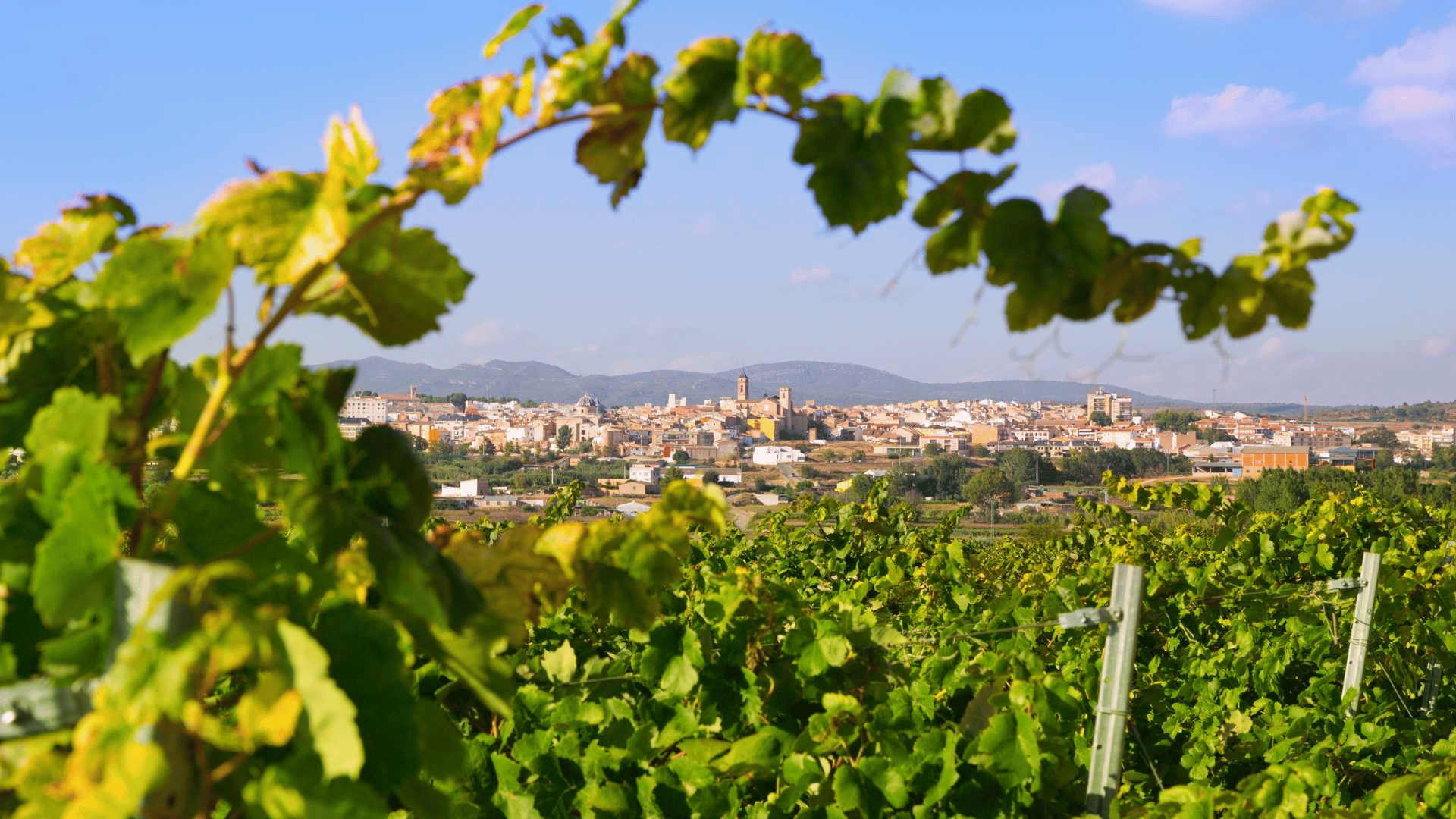 Valencia