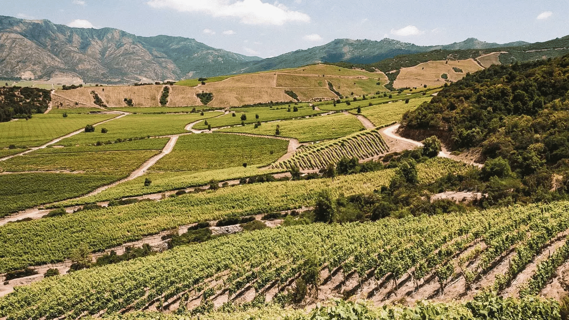 Valle de Colchagua