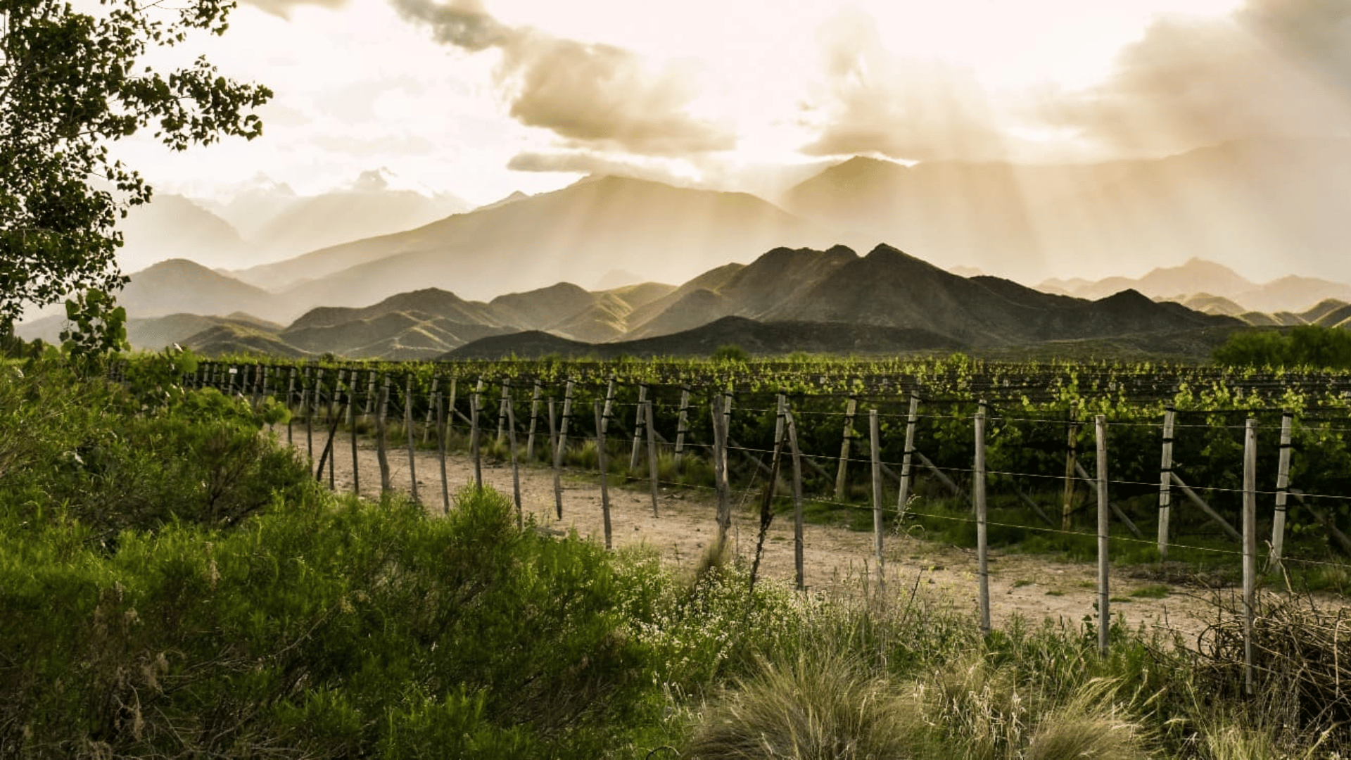 Valle de Uco
