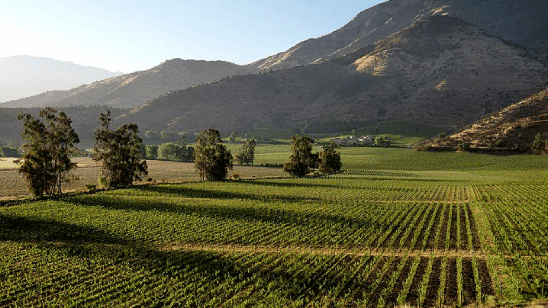 Valle del Maipo