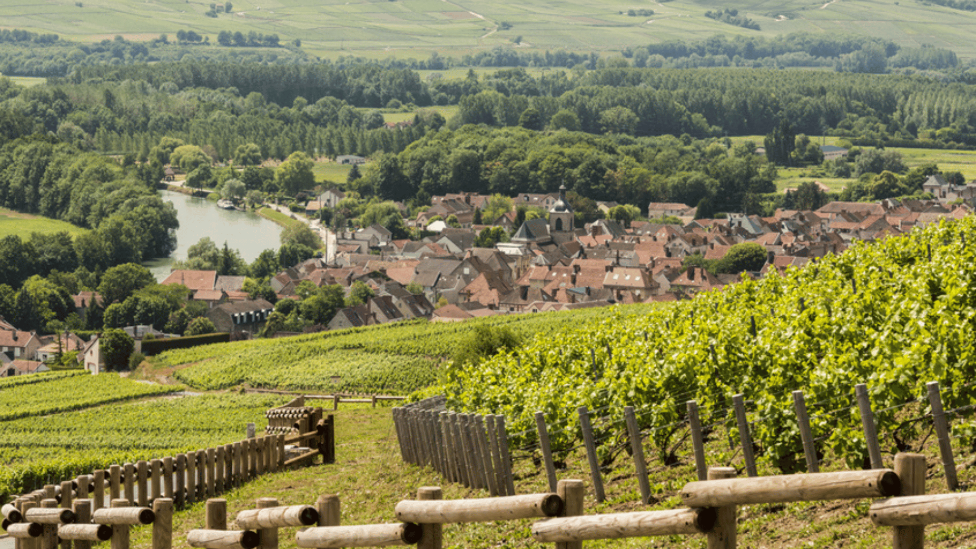 Vallée de la Marne
