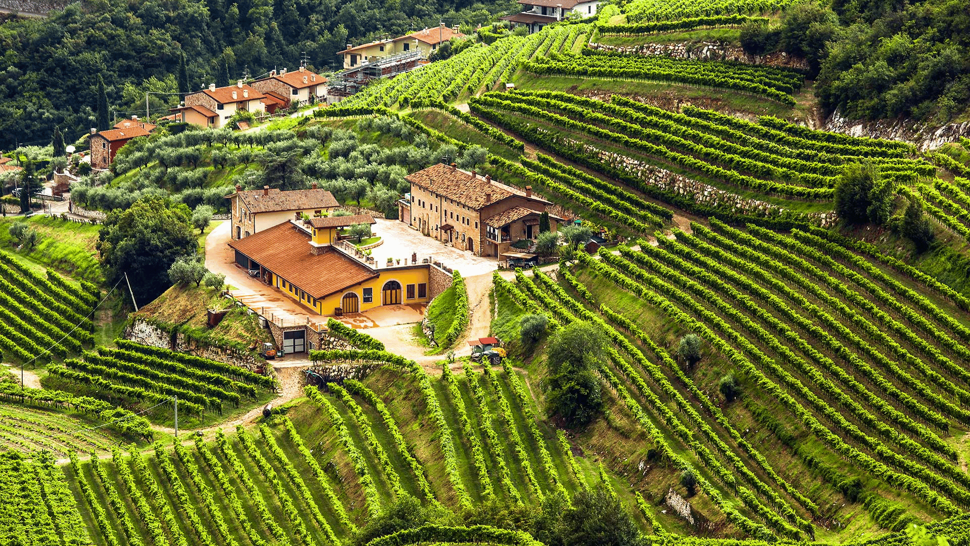 Valpolicella