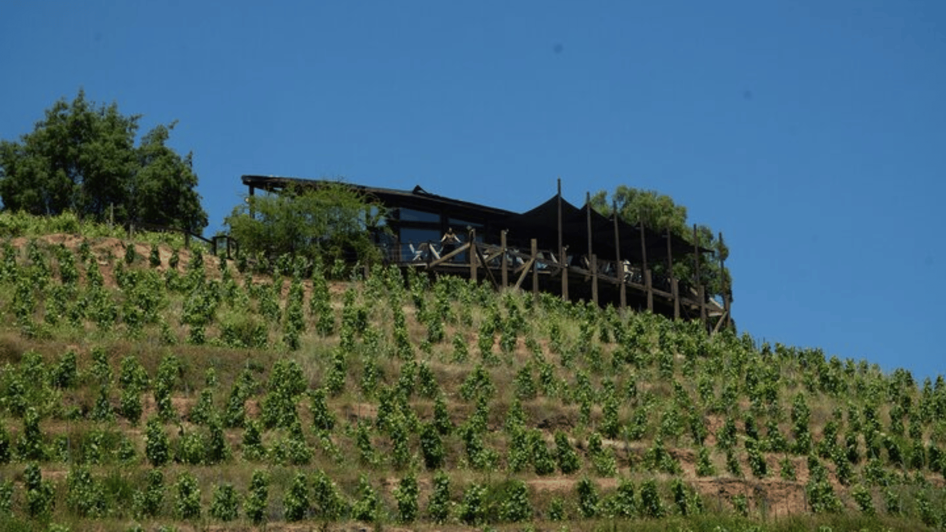 Vinã Ventisquero