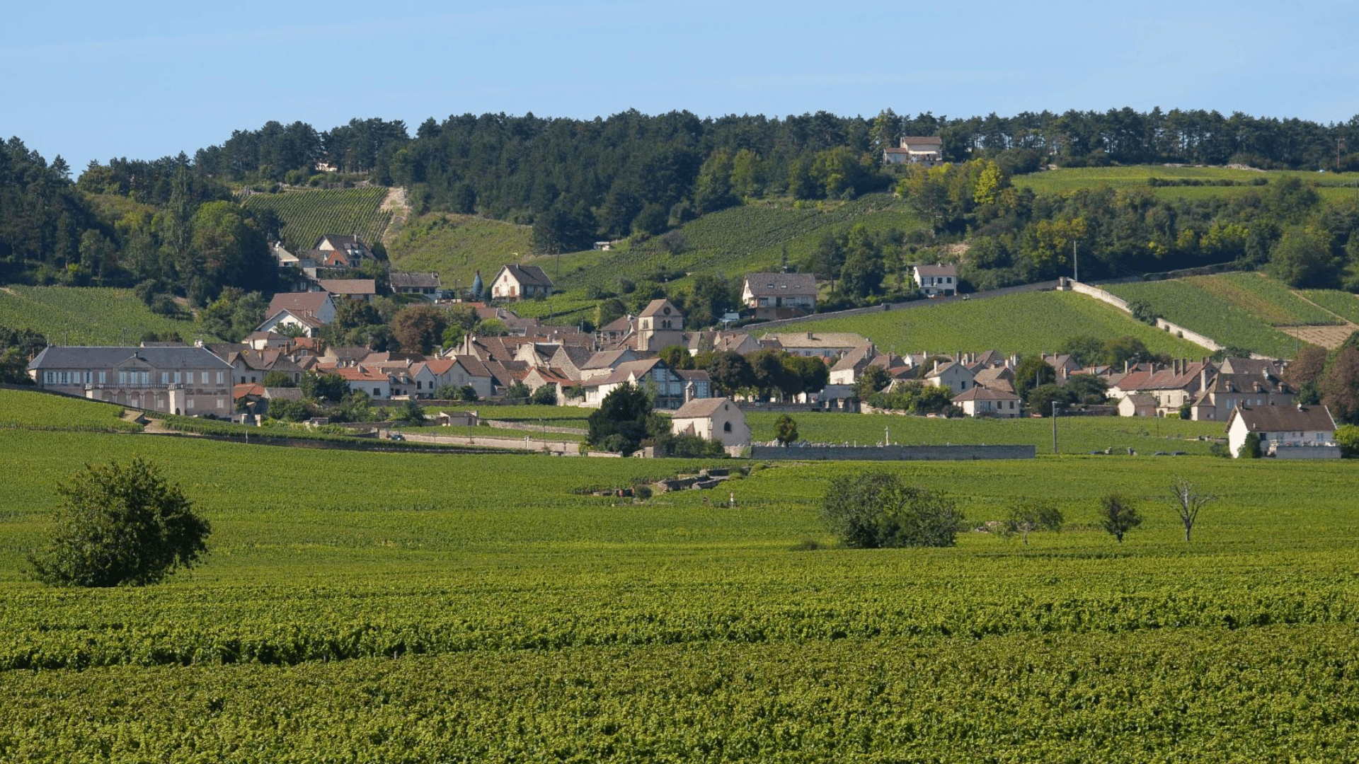 Volnay