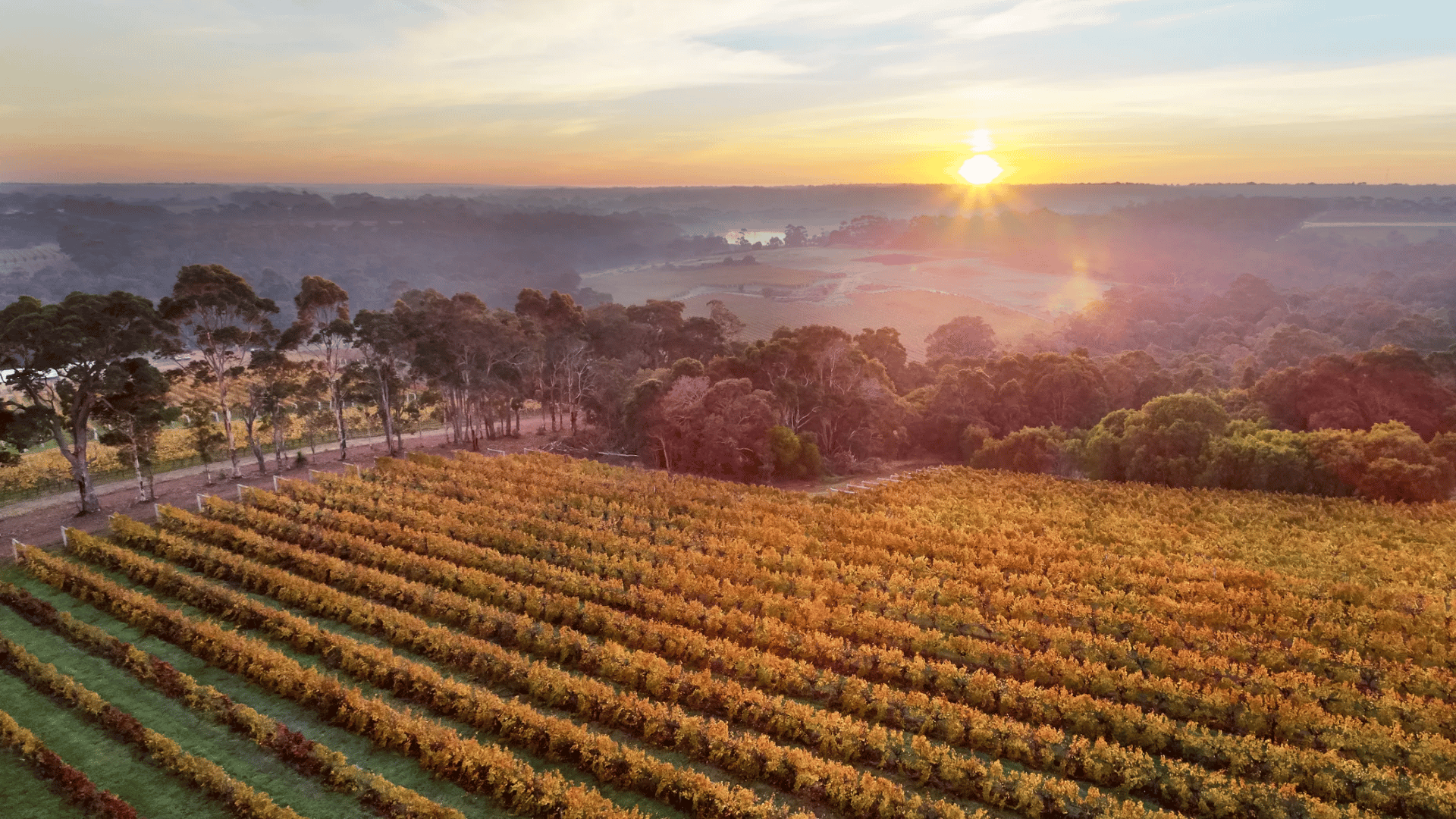 Western Australia