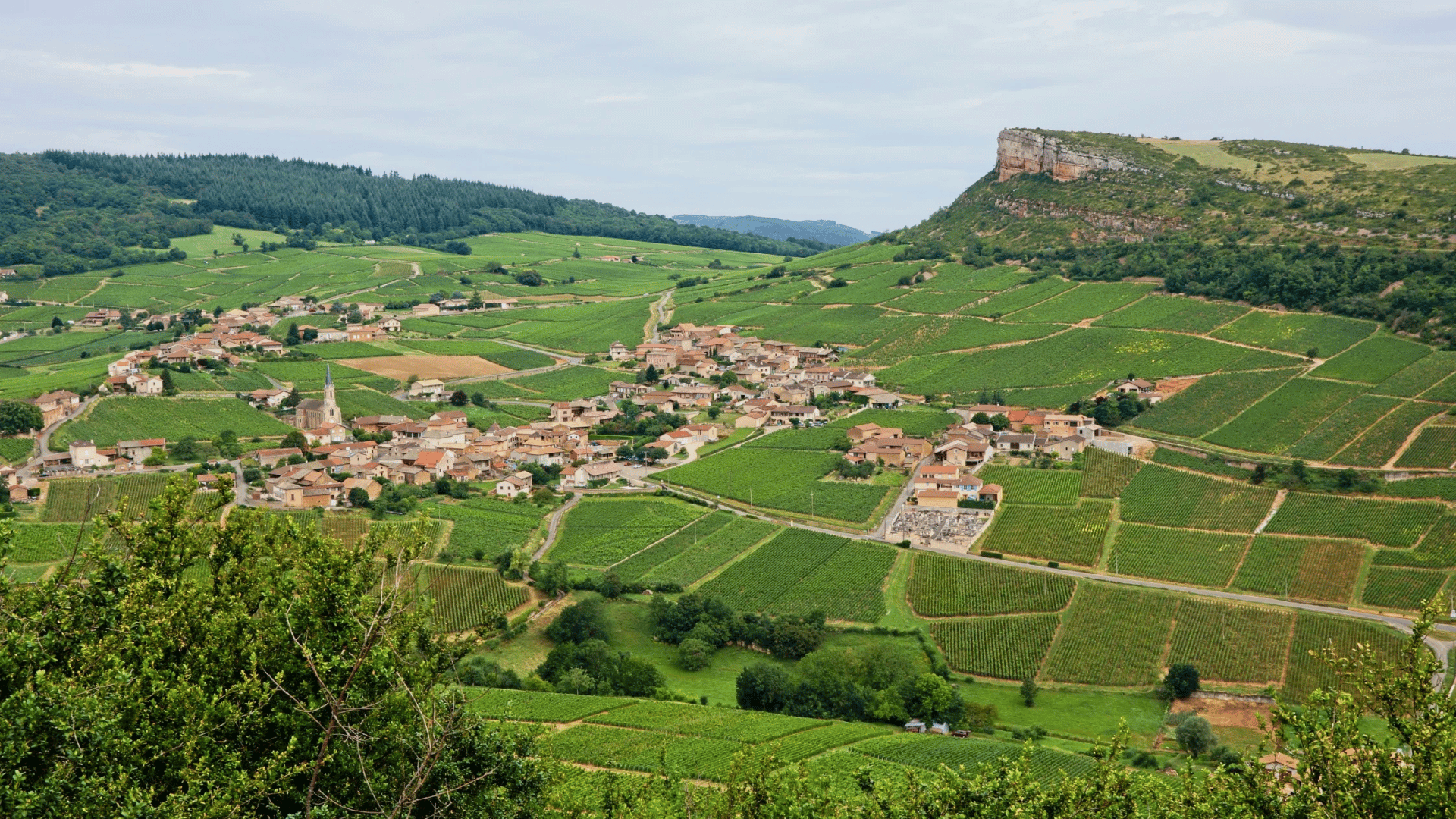 Pouilly-Fuissé