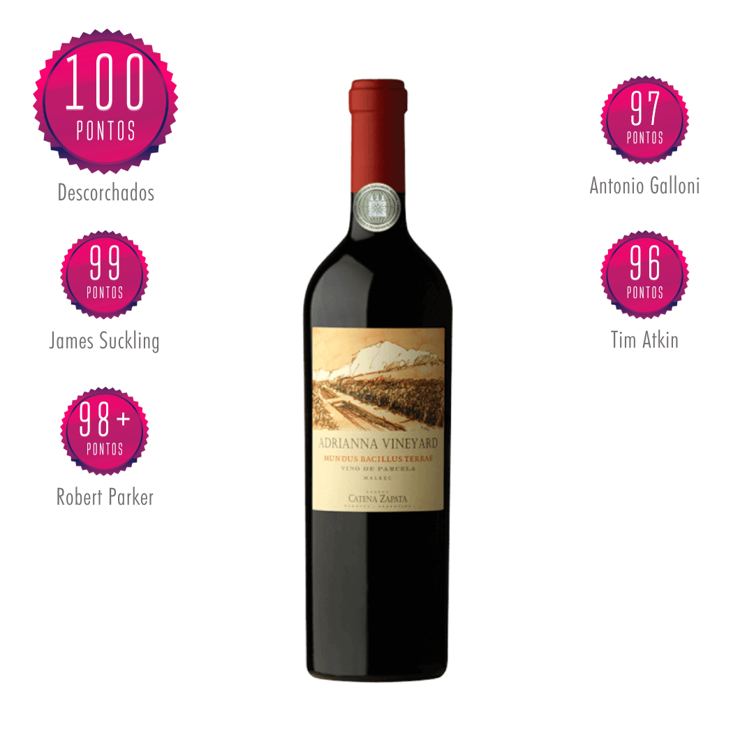 Adrianna Vineyard Mundus Bacillus Terrae 2021 | Vinteria Adega BH
