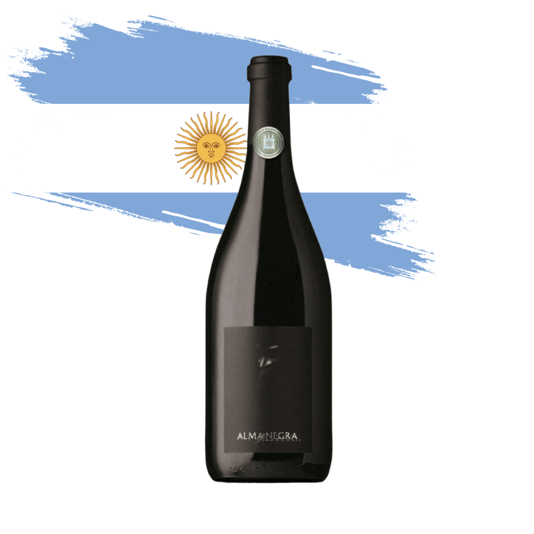 Alma Negra Pinot Noir | Vinho tinto argentino elaborado pela Tikal em Mendoza, Argentina. Disponível em nossa loja e delivery para Belo Horizonte BH, Nova Lima e Pampulha.