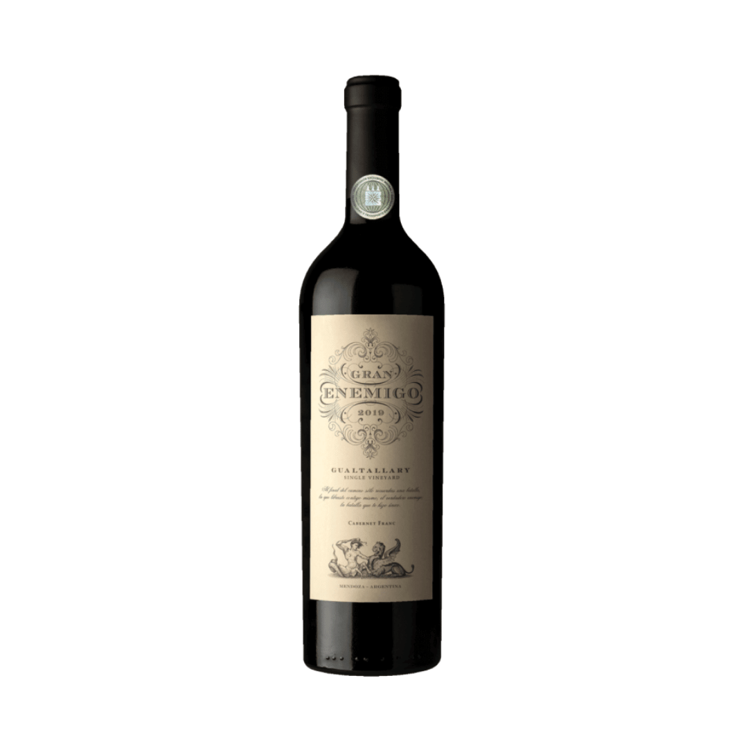 Gran Enemigo Gualtallary 2019 Vinho tinto Argentino Casa Vigil