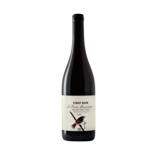 La Grive Musicienne Pinot Noir - Vin de Pays d'oc. Vinho tinto elaborado com a uva Pinot Noir em Languedoc-Roussillon - França. Disponível em nossa loja e delivery para Belo Horizonte BH, Nova Lima e Pampulha.