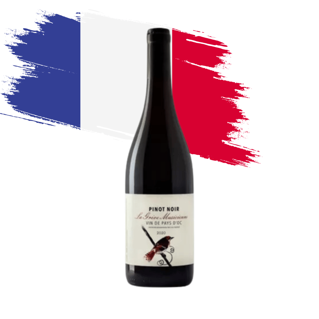 La Grive Musicienne Pinot Noir - Vin de Pays d'oc. Vinho tinto elaborado com a uva Pinot Noir em Languedoc-Roussillon - França. Disponível em nossa loja e delivery para Belo Horizonte BH, Nova Lima e Pampulha.