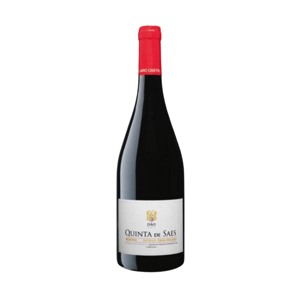 Quinta de Saes Estagio Prolongado 2017